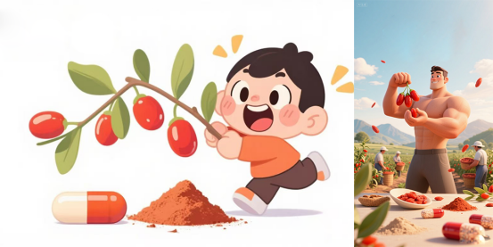 Why Do People Favor Wolfberry?